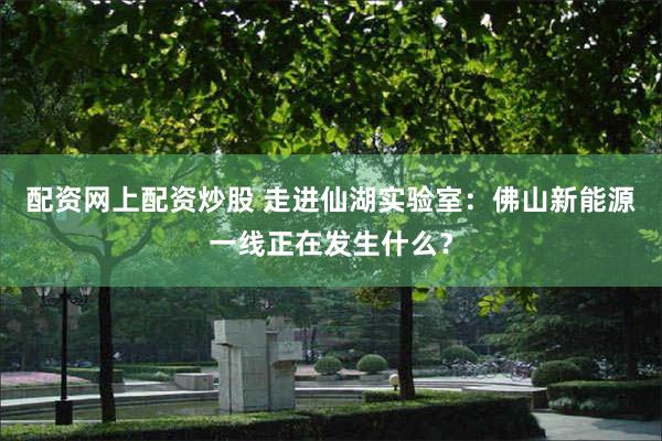 配资网上配资炒股 走进仙湖实验室：佛山新能源一线正在发生什么？