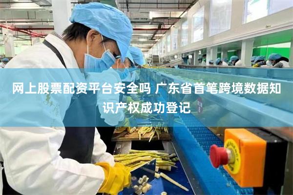 网上股票配资平台安全吗 广东省首笔跨境数据知识产权成功登记